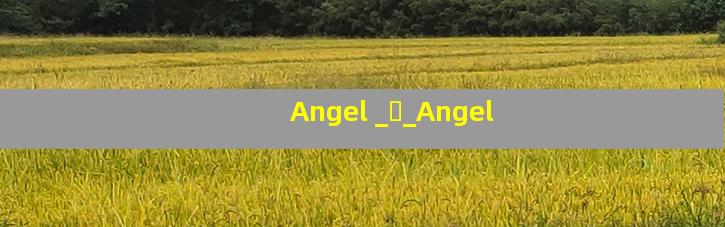Angel _ӱ_Angel 